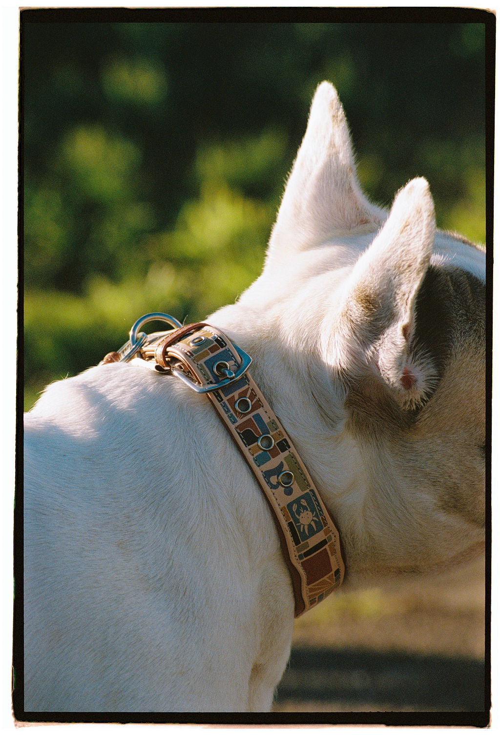 Collier - Abysse