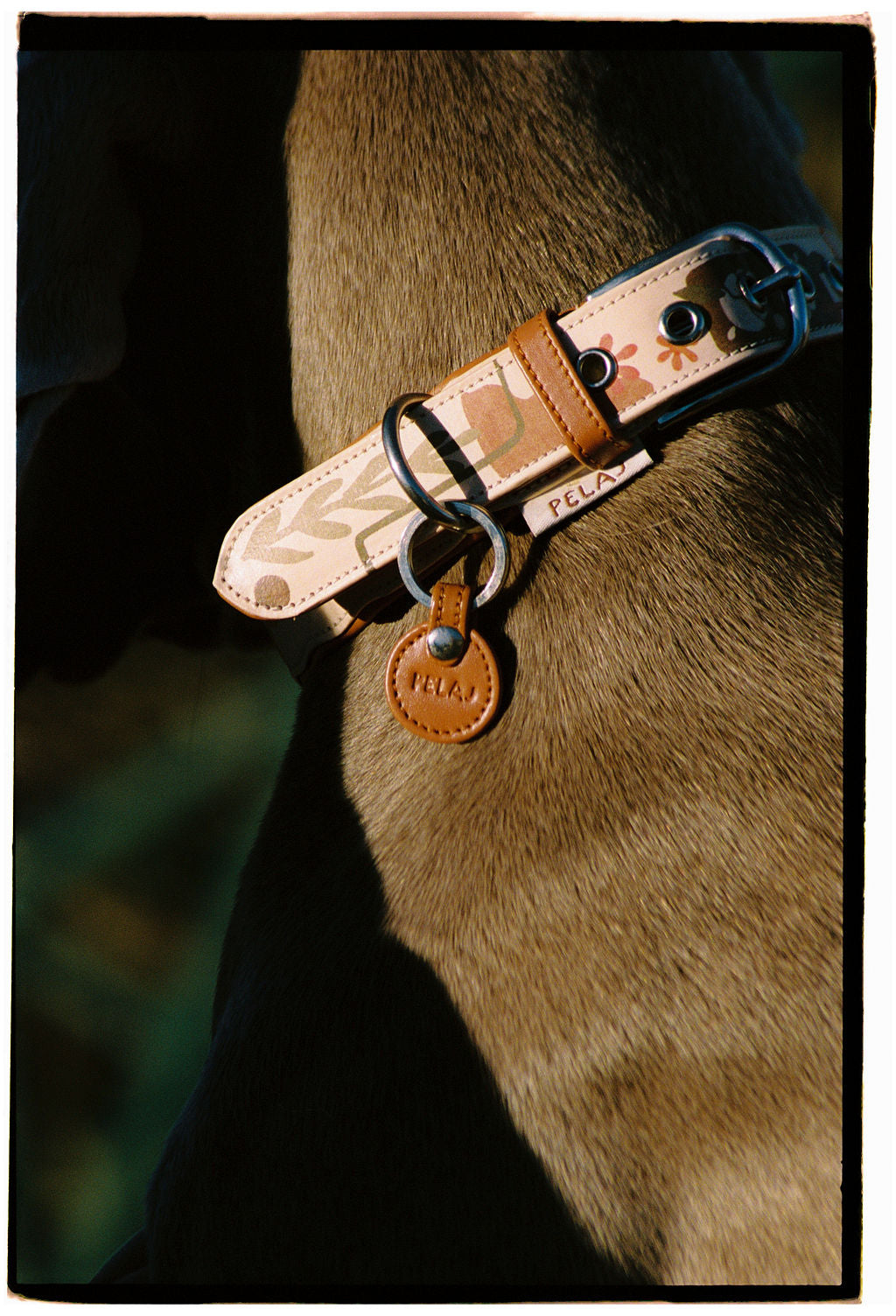 Collier - Chiberta
