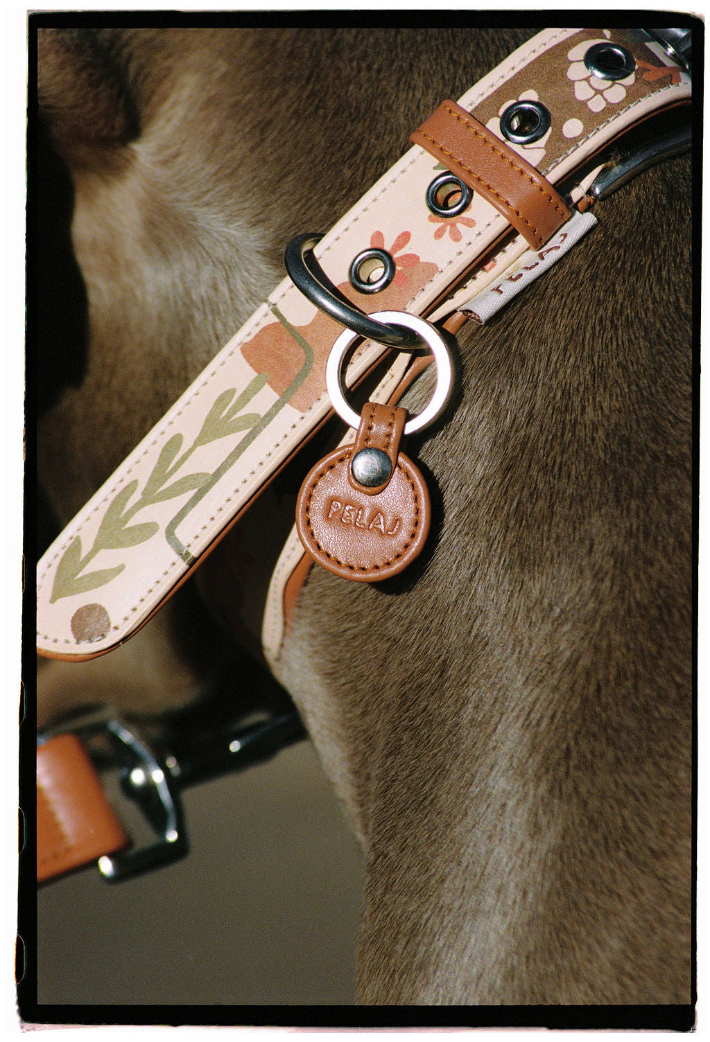 Collier - Chiberta