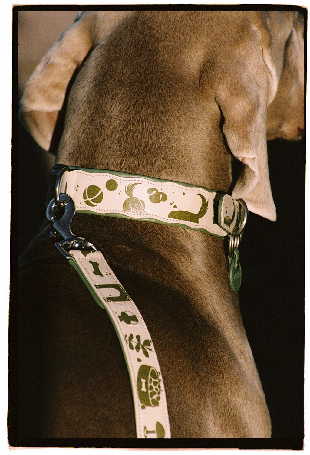 Collier - Home