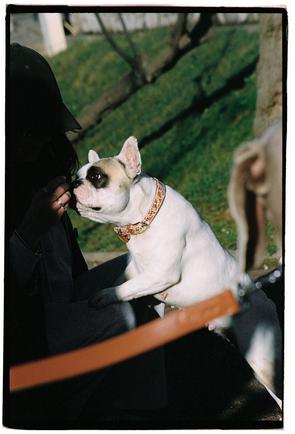 Collier - Sunny