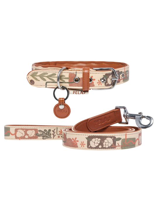 Pack - Chiberta